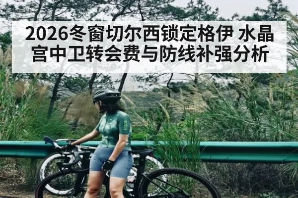 2026冬窗切尔西锁定格伊 水晶宫中卫转会费与防线补强分析