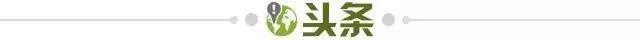 世界杯官方数据-【早报】曾被全村嘲讽的全村希望，成了全村的保障！